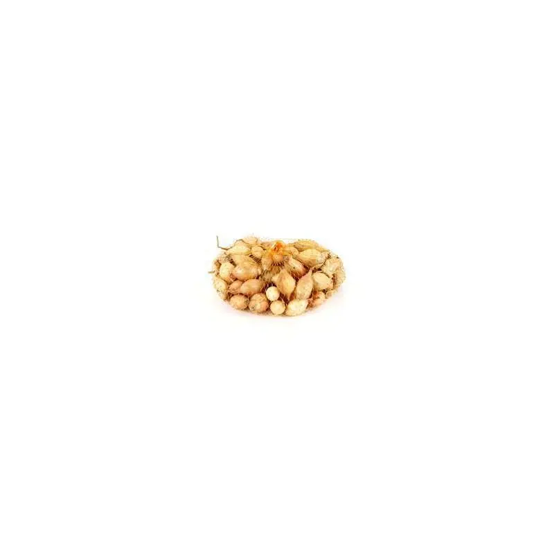 Petit Prix OIGNONS JAUNES STURON FILET 250G – LES DOIGTS VERTS
