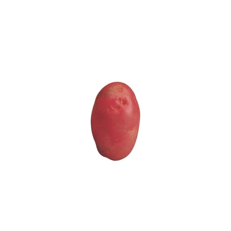Solde SAC POMMES DE TERRE DÉSIRÉE 35/45 5KG