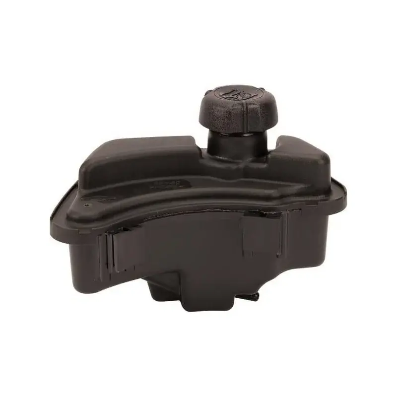 Nouvel Arrivage Réservoir de carburant BRIGGS ET STRATTON 591947