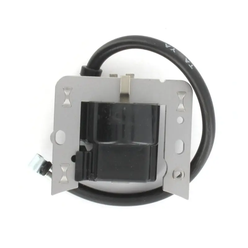 Remise Bobine d‘allumage électronique pour TECUMSEH TECNAMOTOR