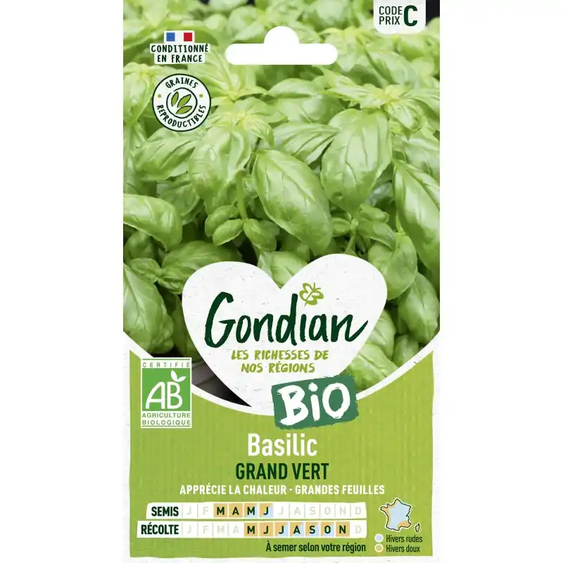 BASILIC GRAND VERT BIO – GONDIAN Nouveauté
