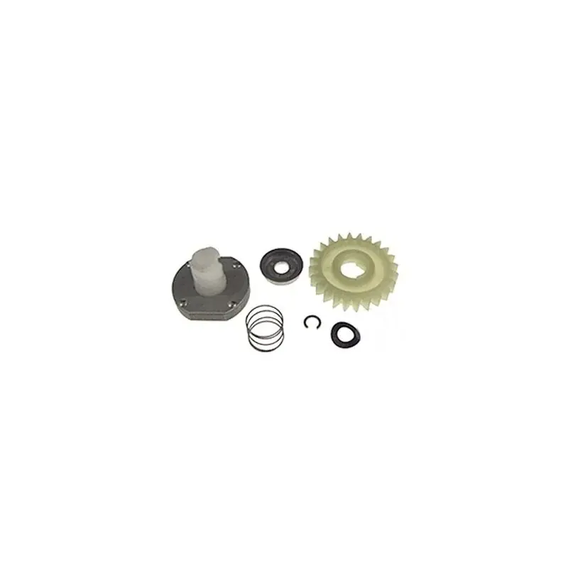 Kit nez de démarreur BRIGGS et STRATTON 490768 – 499308 Paiement Sécurisé