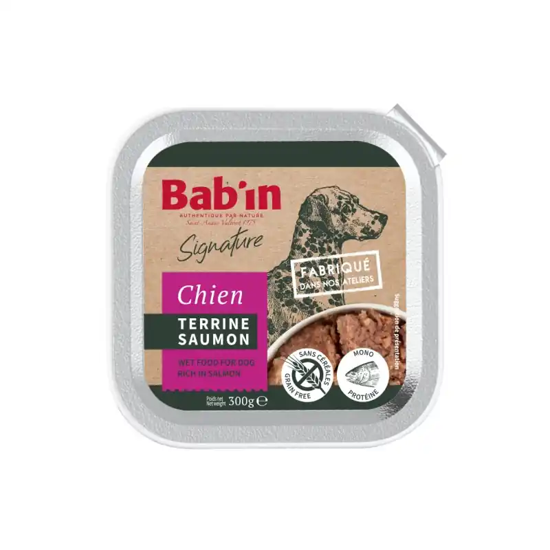 Achetez Aujourd'hui TERRINE CHIEN ADULTE SAUMON 300G - BAB‘IN