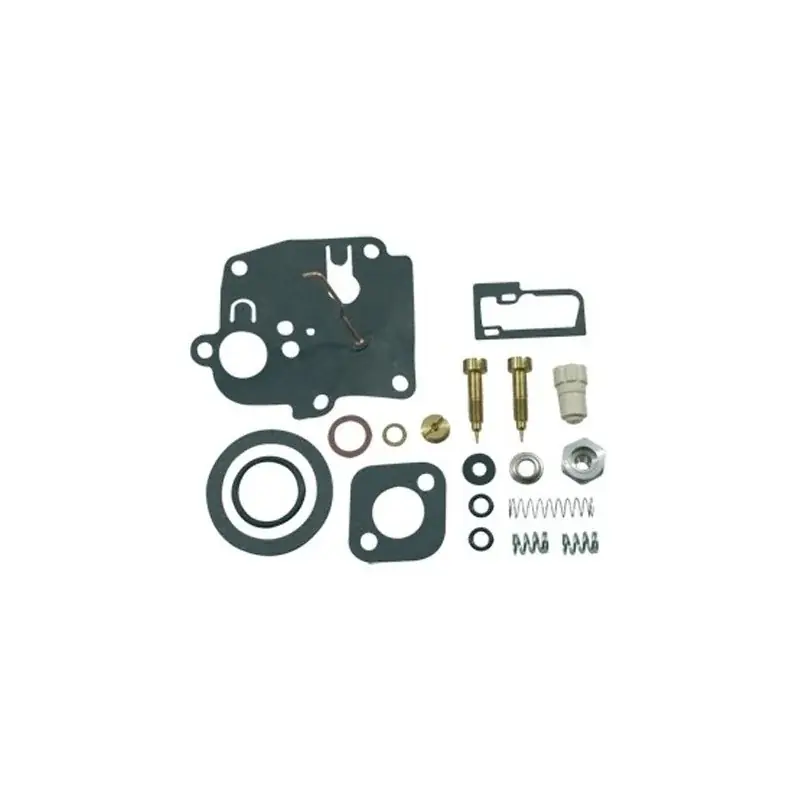 Populaire Kit membranes joints BRIGGS et STRATTON 494623