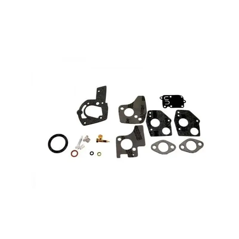 Kit membranes joints moteur BRIGGS et STRATTON 494624 Livraison Express