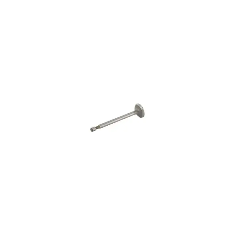 Acheter En Ligne Soupape d‘admission BRIGGS et STRATTON 499641