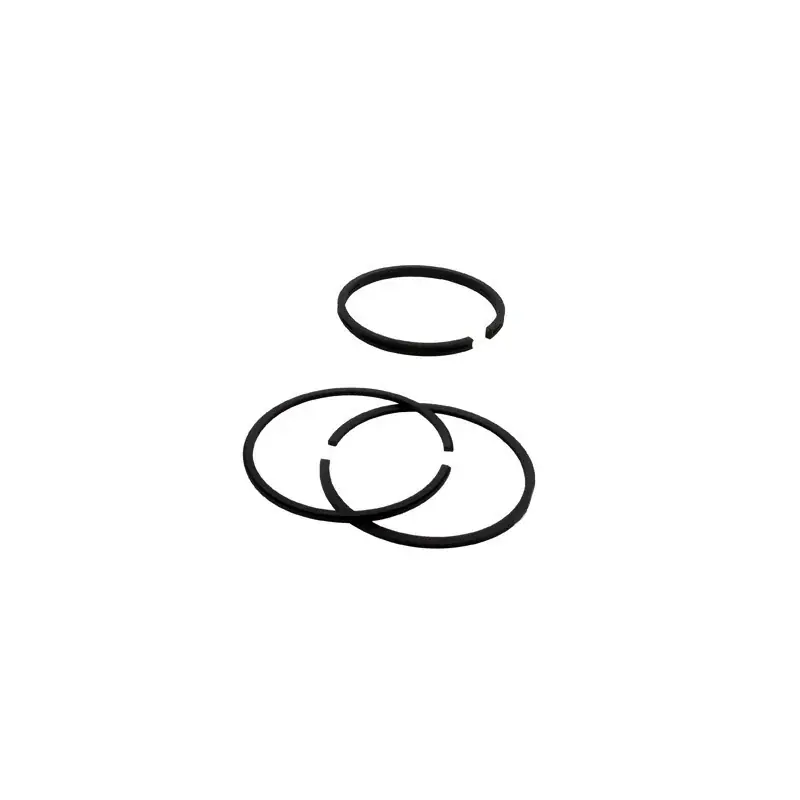 Segments BRIGGS et STRATTON 298983 modèles 90000 à 96000 – 92000 – 130000 à 131300 Jusqu&rsquo;à Épuisement Des Stocks
