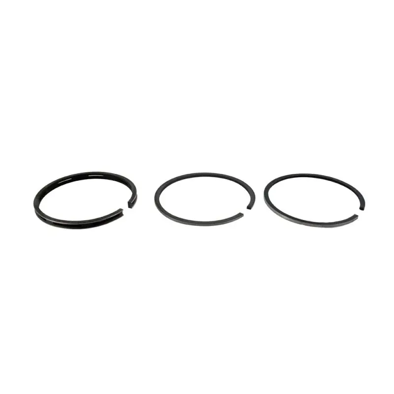 Bon Plan Segments BRIGGS et STRATTON 298984 modèles 90000 à 96000 – 92000 – 130000 à 131300