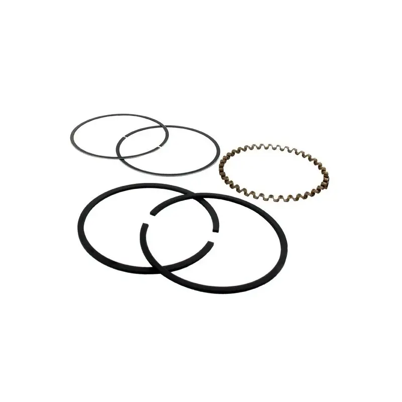 Segments BRIGGS et STRATTON 391783 – 394962 Nouveauté