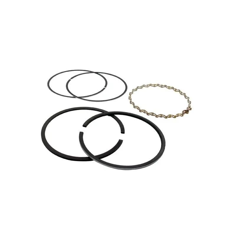 Achetez Aujourd&rsquo;hui Segments KOHLER 236764 – 48-108-06 modèles K-321 – 14 ch