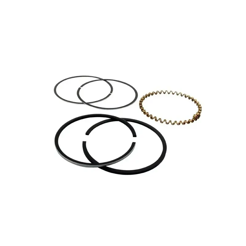 Segments KOHLER 235289 modèles K-241 – 10 ch Offre Limitée