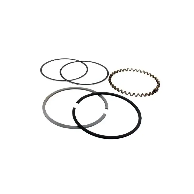 Segments KOHLER 235891 – 48-108-03 modèles K-301 – 12 ch Achat Immédiat