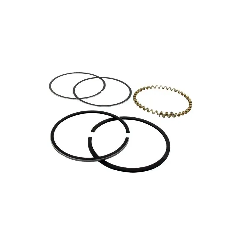 Commande En Gros Segments KOHLER 235290 modèles K-241 – 10 ch