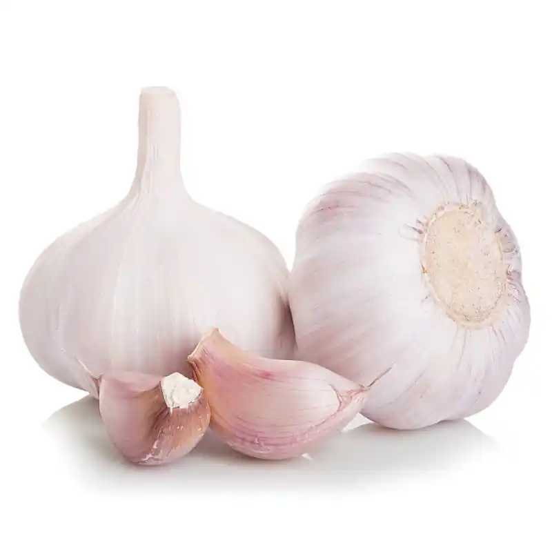 PLANTS AIL ROSE FLAVOR 500G Offre Exclusive