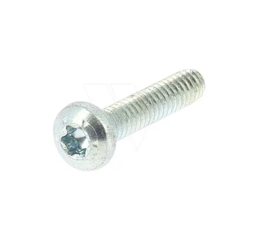 Certifié Vis Torx 10-24X1