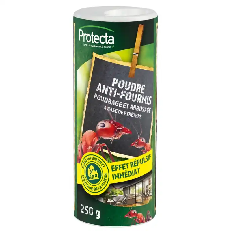 Haute Qualité POUDRE ANTI-FOURMIS PYRÈTHRE 250G – PROTECTA