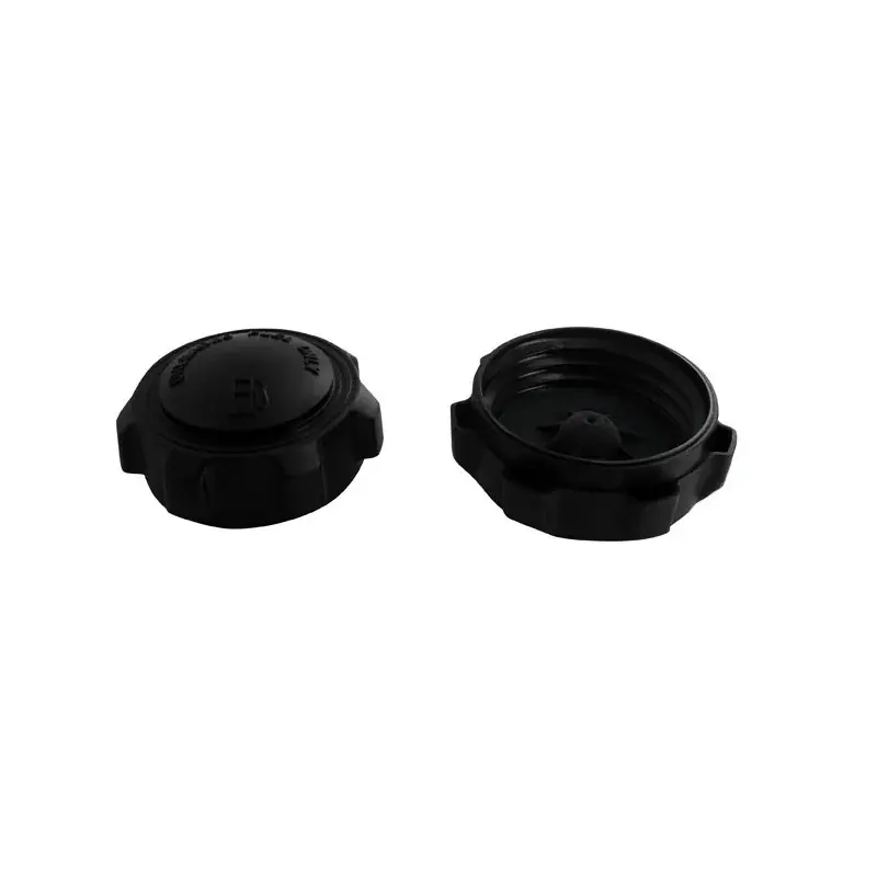 Livraison Express Bouchon de réservoir BRIGGS et STRATTON 397975 – 493988 – 795027