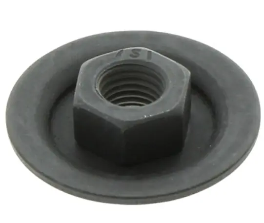 Prix Bas Noix 5853218-01