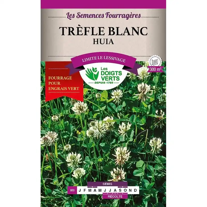Quantité Limitée TREFLE BLANC 100G – LES DOIGTS VERTS