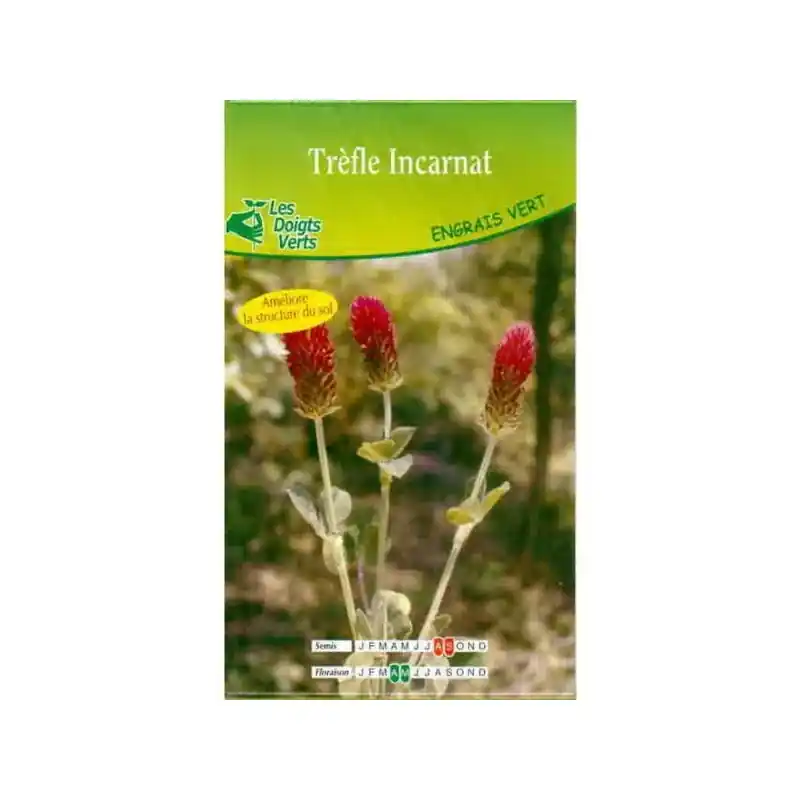 Commande En Gros TREFLE INCARNAT HATIF 100G – LES DOIGTS VERTS