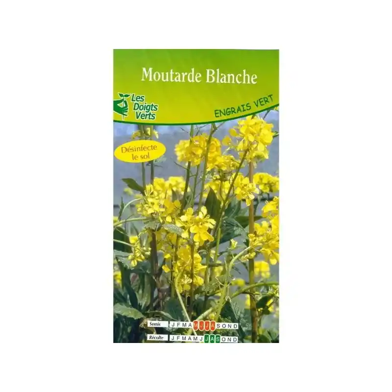 MOUTARDE 500G – LES DOIGTS VERTS Jusqu&rsquo;à Épuisement Des Stocks