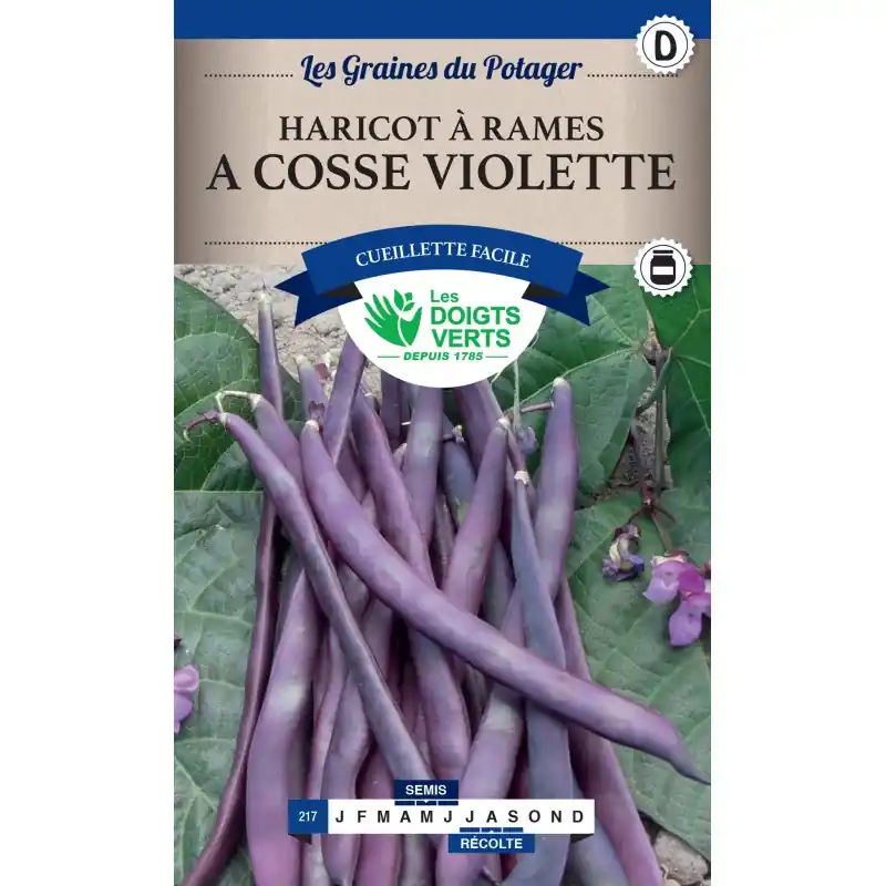 HARICOT RAMES COSSES VIOLETTES – LES DOIGTS VERTS Vente Flash