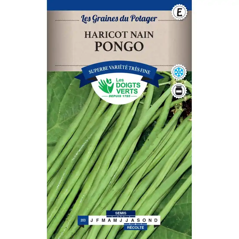 Populaire HARICOT NAIN PONGO CAT E – LES DOIGTS VERTS