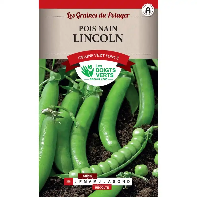 Meilleure Vente POIS NAIN LINCOLN – LES DOIGTS VERTS