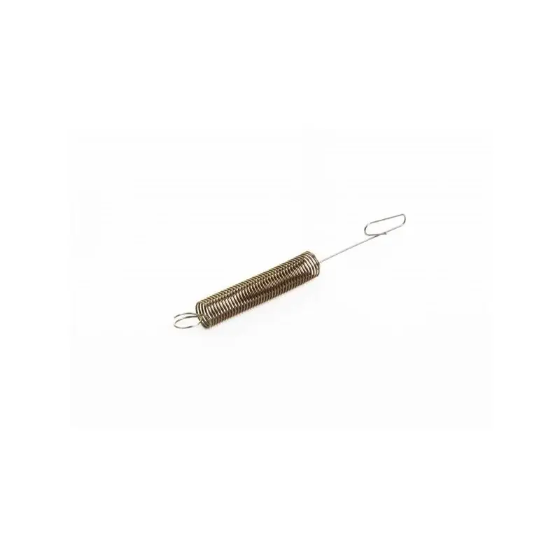 Acheter En Ligne Ressort de régulateur BRIGGS et STRATTON 690251 – 263115