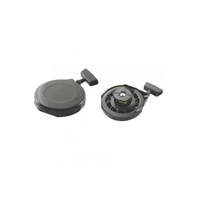 Jusqu&rsquo;à Épuisement Des Stocks Lanceur BRIGGS et STRATTON 499706 – 690101
