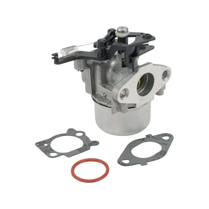 Carburateur BRIGGS et STRATTON 799479 Meilleure Vente