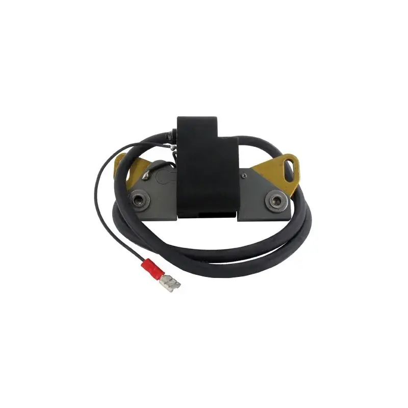 Vente Flash Bobine d‘allumage LOMBARDINI 1567-136