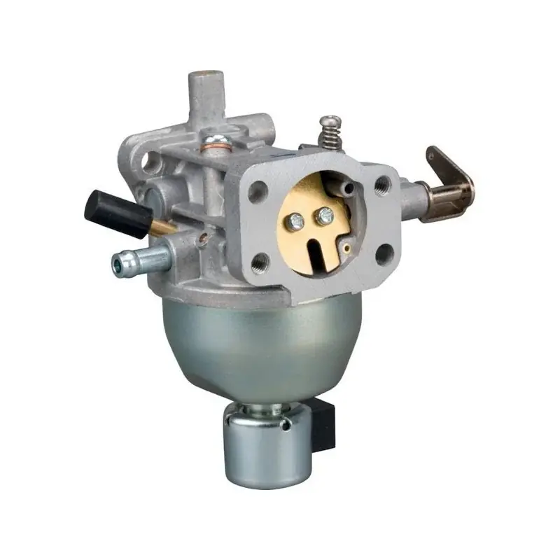Carburateur Briggs et Stratton 807961 – 808255 – 808728 – 846108 – 846944 Petit Prix