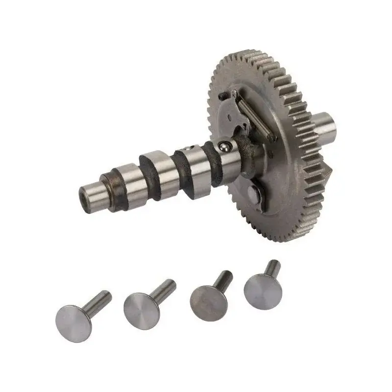 Arbre à came Briggs et Stratton 691557 – 845649 – 807542 Expédition Rapide