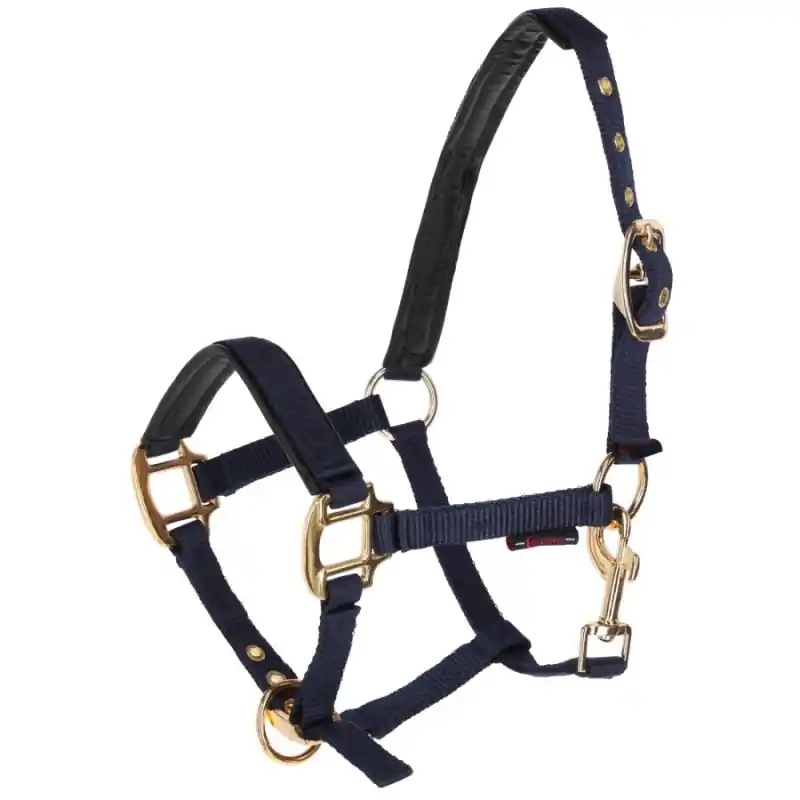 LICOL TOPLINE NAVY POULAIN – KERBL Commander Vite