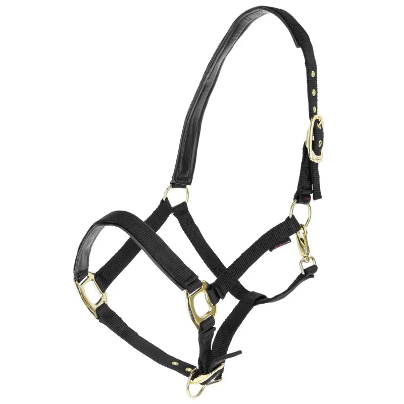 Dernière Chance LICOL TOPLINE BLACK PONY – KERBL