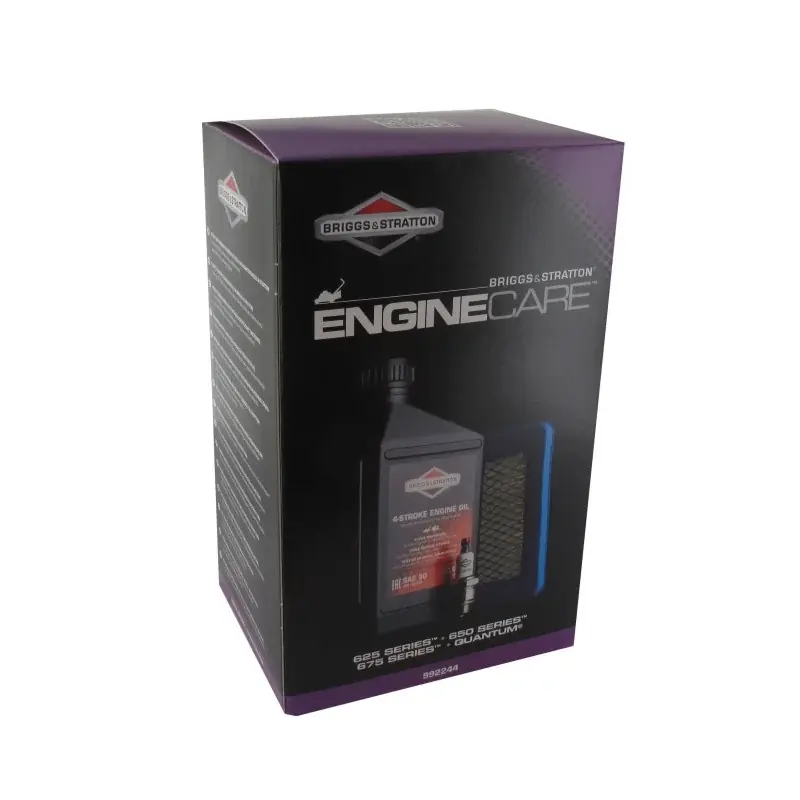 Kit d‘entretien BRIGGS ET STRATTON 992244 Livraison Express