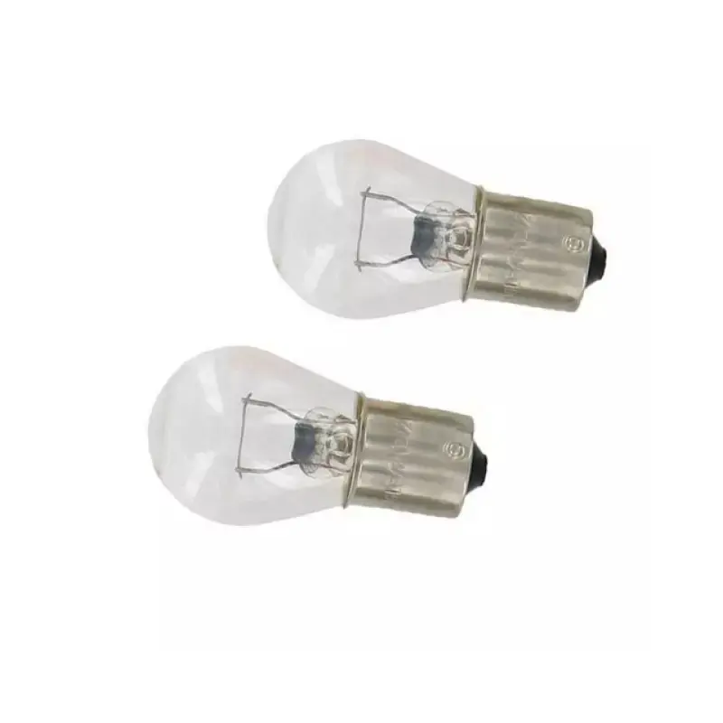 Affaire À Saisir LAMPES GRAISSEUR 12V 21W X2