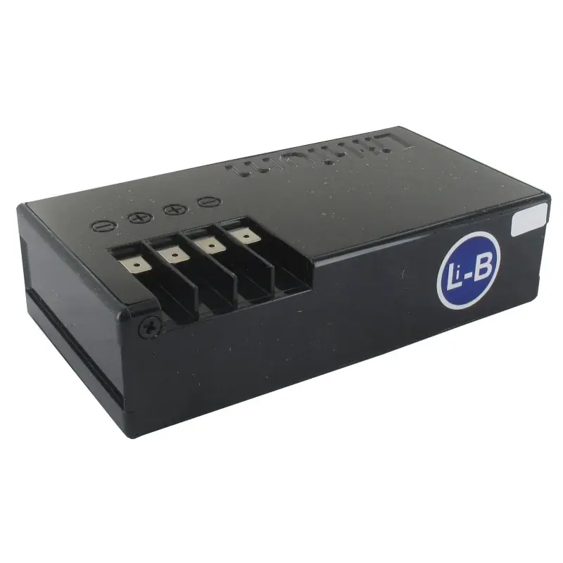 Batterie Lithium 25,2 V – 2,5 Ah GGP – CASTELGARDEN 1126-9137-01 Commande En Gros
