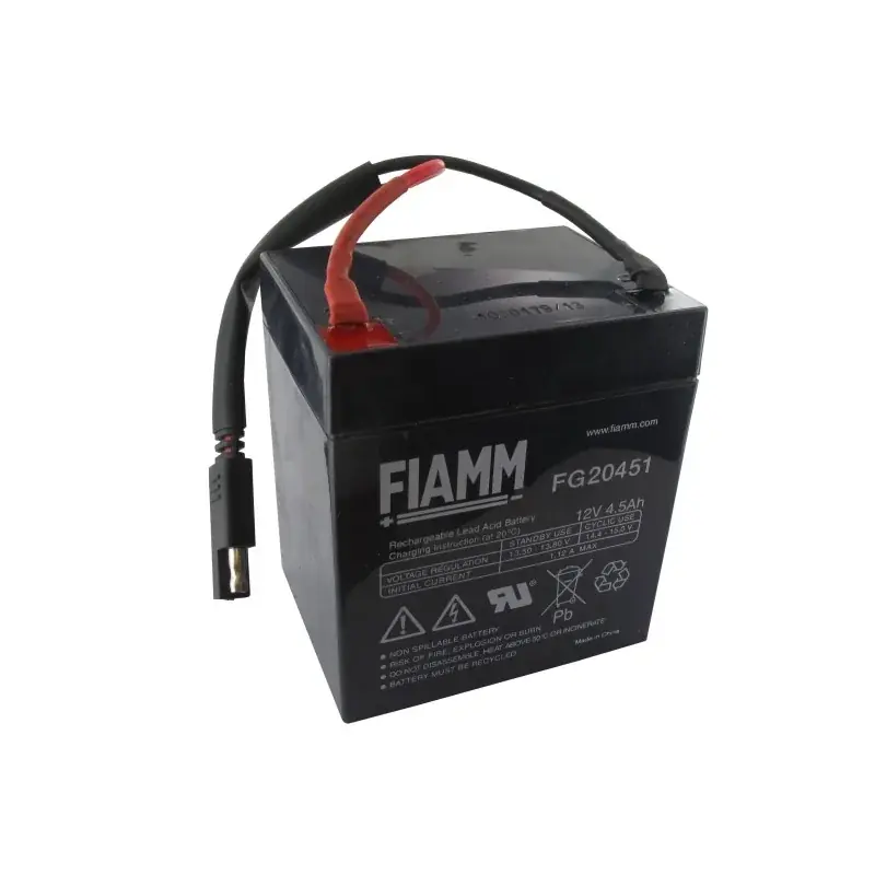 Batterie 12V 4,5A GGP – CASTELGARDEN 118120052/0 Must-Have
