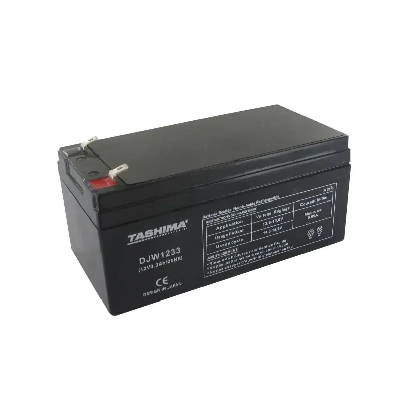 Batterie motoculture TASHIMA NP28-12 – NP32-12 Haute Qualité