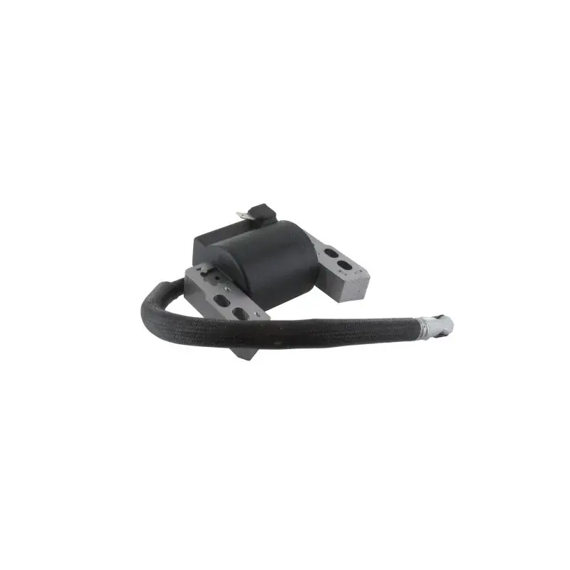 Prix Bas Bobine d‘allumage BRIGGS et STRATTON 796964