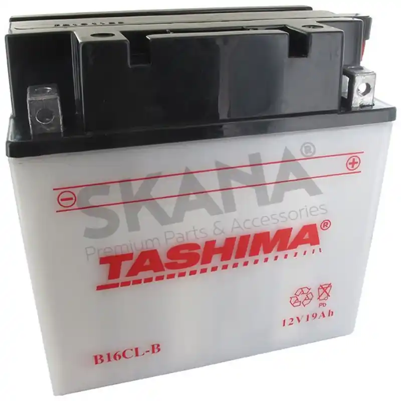 Bon Plan Batterie de démarrage Autoportées / Moto / Quad 12 V 19 Ah – 17.5 x 10 x 17.5 cm – Borne + à droite – TASHIMA