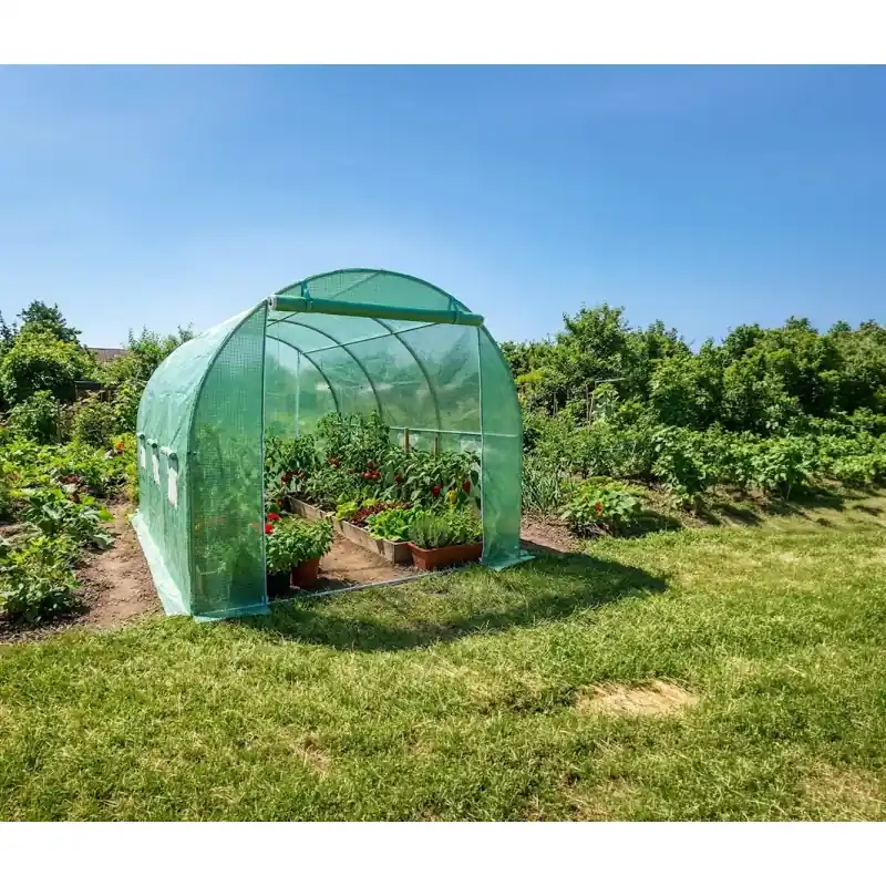 SERRE TUNNEL 6 M² 2X3X2M – MACXI JARDIN Top Vente