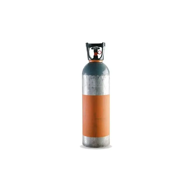 Must-Have CHARGE CO2 10KG BOUTEILLE GAZ POUR MOSQUITAIRE