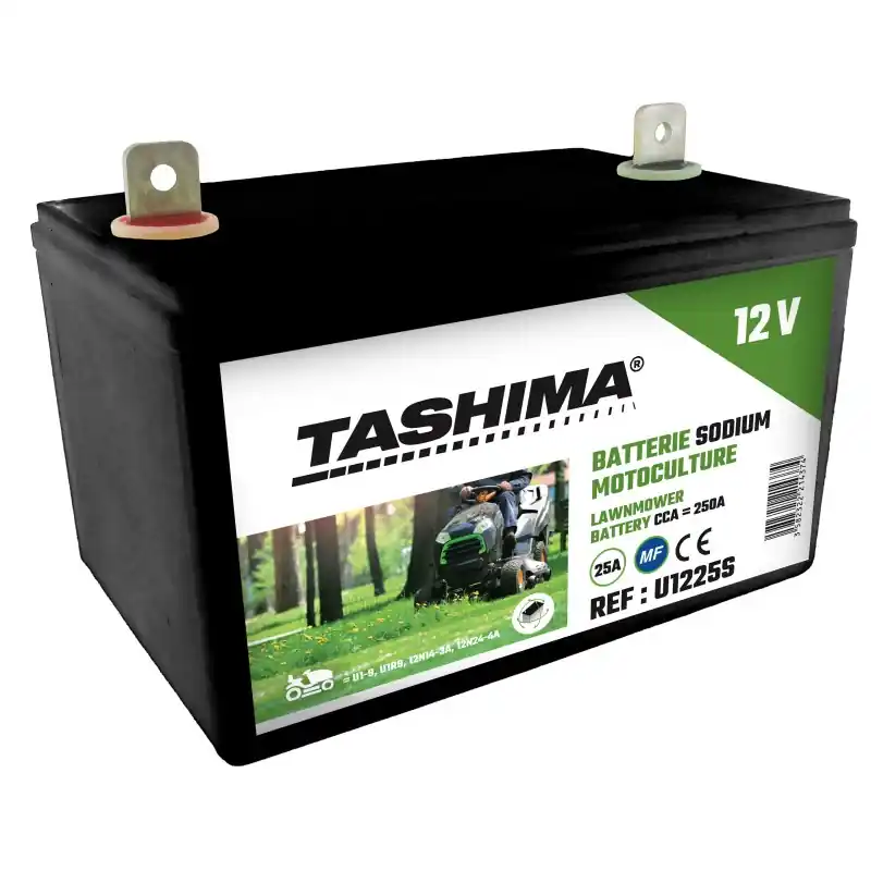 Batterie de démarrage Autoportées / Moto / Quad 12 V 25 Ah – 18.4 x 12.6 x 13.6 cm – Borne + à droite – TASHIMA Achat Immédiat