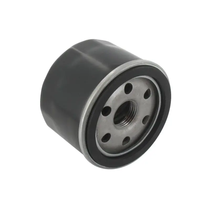 Filtre à huile MTD 75112690 Acheter En Ligne