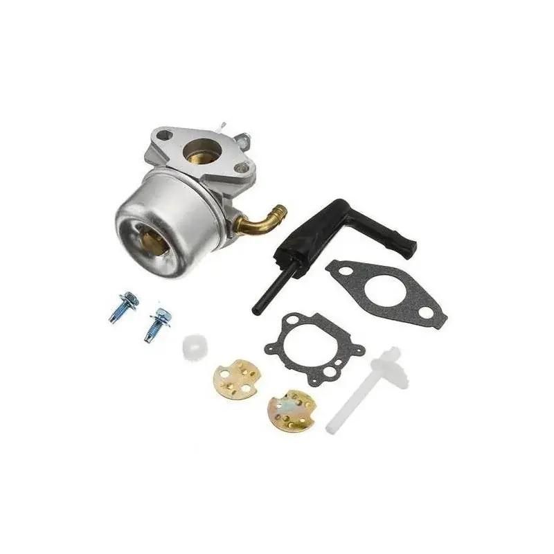 Carburateur BRIGGS ET STRATTON 693865 – 694508 – 696981 – 697354 – 698859 – 698860 – 790290 – 791077 – 795069 – 798653 Prix Cassé