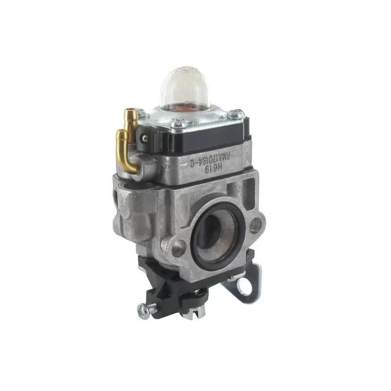 Satisfait Ou Remboursé Carburateur GGP – CASTELGARDEN 123054025/1