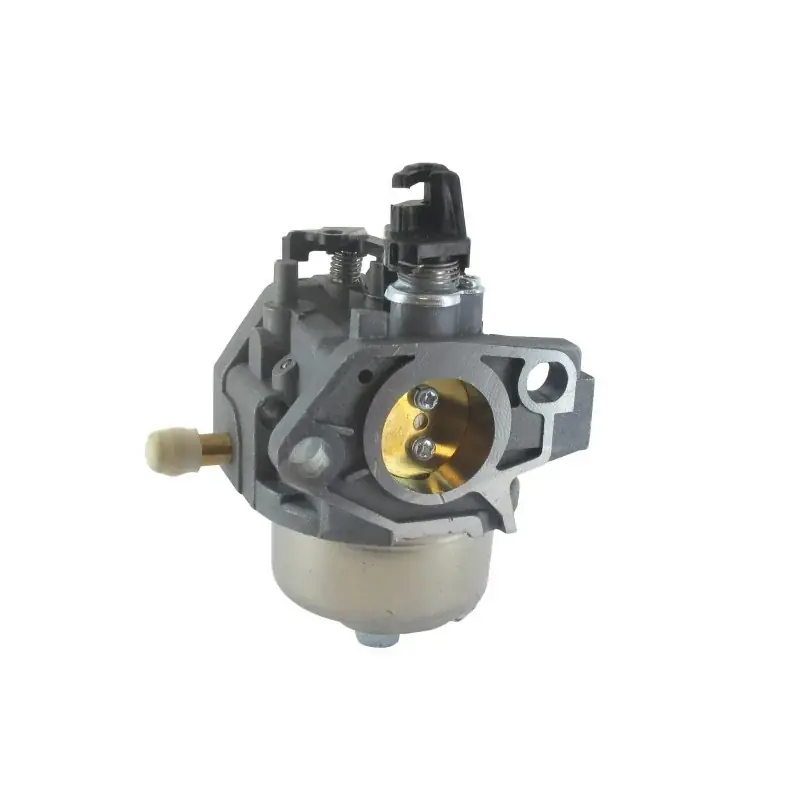 Seulement Aujourd&rsquo;hui Carburateur GGP – CASTELGARDEN 118551393/0